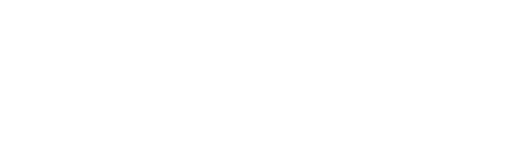 ZENDOG